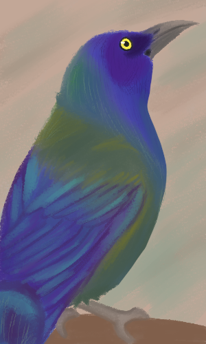 A digitally painted image of a bronze-formed common grackle